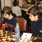 IMG_3881_16 IMG_3881_16