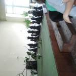 2012-05-13 13.33.41