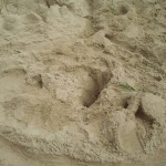 2012-06-11 11.36.32